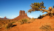 Monument Valley Monument Valley