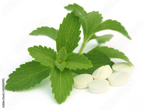 Photo: Stevia with tablets Stevia with tablets