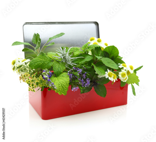 Photo: Fresh herbs in a red box Fresh herbs in a red box