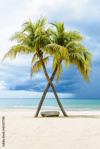 Fototapeta Beautiful beach with palms, Thailand