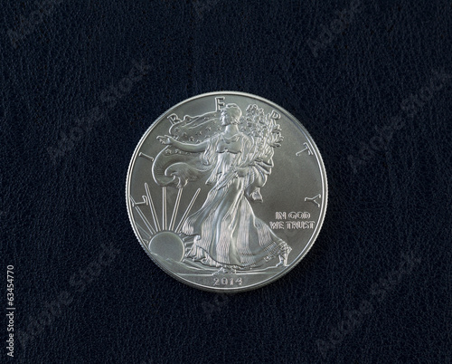 Photo: Uncirculated American Silver Eagle Dollar Coin Uncirculated American Silver Eagle Dollar Coin