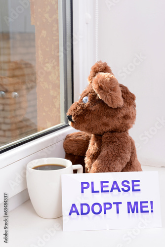 Photo: Toy-bear looking out window close-up Toy-bear looking out window close-up