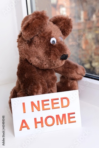 Photo: Toy-bear looking out window close-up Toy-bear looking out window close-up