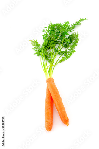 Photo: Fresh organic carrots on white background Fresh organic carrots on white background