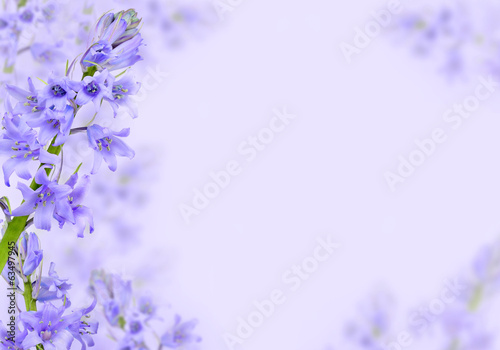 Photo: Abstract purple spring flowers background Abstract purple spring flowers background