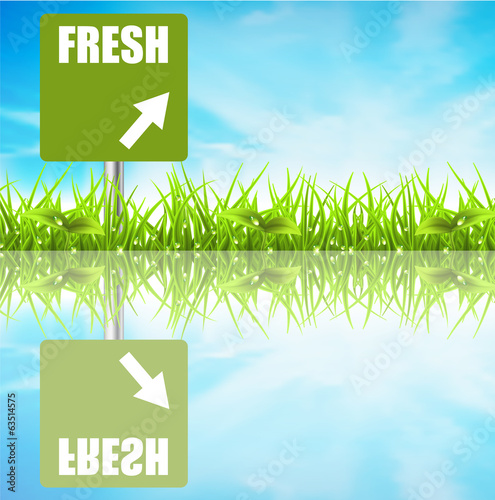 Vector: Landscape Landscape