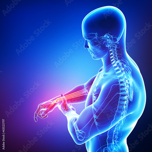 Illustration: Antomy of male hand pain in blue Antomy of male hand pain in blue