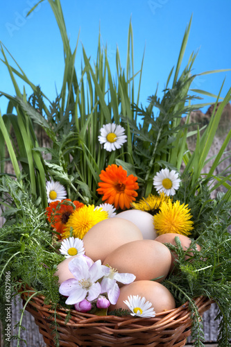 Photo: .Eggs in a basket with spring plants and flowers .Eggs in a basket with spring plants and flowers