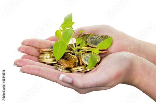 Photo: Geld und Pflanze. Symbolfoto Sparen Geld und Pflanze. Symbolfoto Sparen