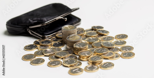 Photo: Money, finances. Euro coins Money, finances. Euro coins