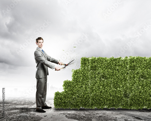 Photo: Growth concept Growth concept