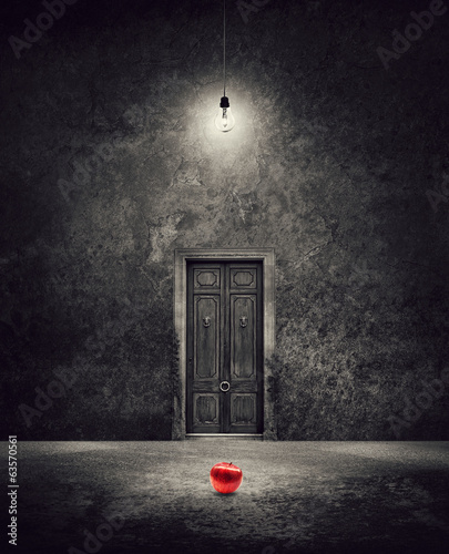 Photo: apple of temptation apple of temptation