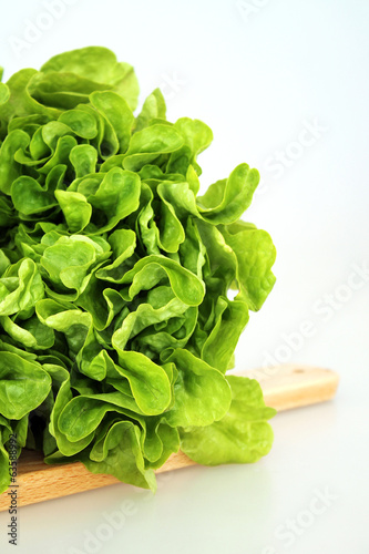 Photo: Lettuce (Lactuca sativa) Lettuce (Lactuca sativa)