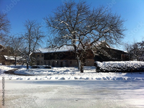 Instant Collection: wintertime wintertime