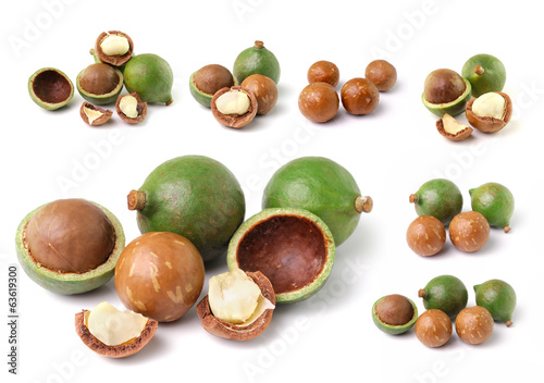 Photo: macadamia nuts isolated on white background macadamia nuts isolated on white background