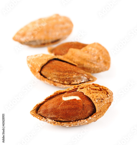 Photo: Seed of almonds Seed of almonds