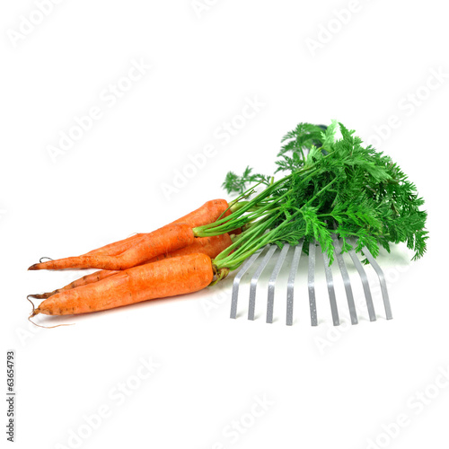 Photo: carrot and gardening tools carrot and gardening tools