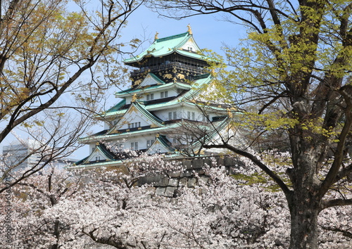 Photo: 大阪城春景色 大阪城春景色