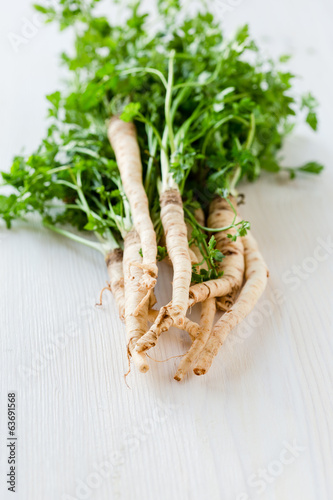 Photo: Parsley roots Parsley roots