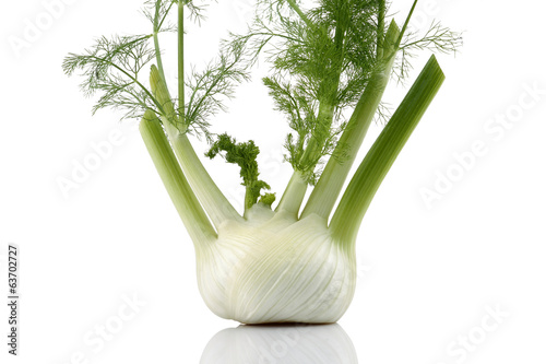 Photo: Fennel Fennel