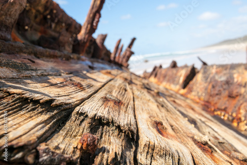 Photo: Teak deck remains from shipwreck of Maheno. Teak deck remains from shipwreck of Maheno.