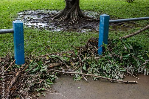 Photo: サイクロン通過後のケアンズ 2014-4-13 Cyclone Ita サイクロン通過後のケアンズ 2014-4-13 Cyclone Ita