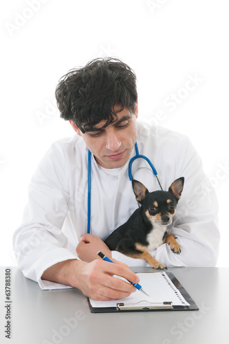 Photo: veterinarian with dog veterinarian with dog