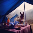 Himalayan Breakfast Himalayan Breakfast