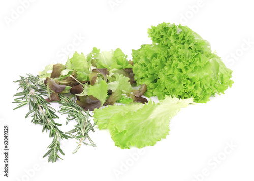 Photo: Salad mix and rosemary. Salad mix and rosemary.