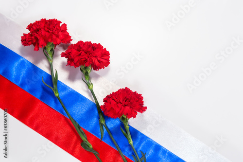 Photo: Carnations on Russian flag Carnations on Russian flag