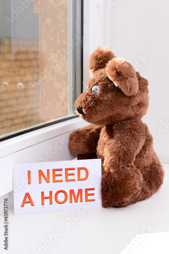 Photo: Toy-bear looking out window close-up Toy-bear looking out window close-up