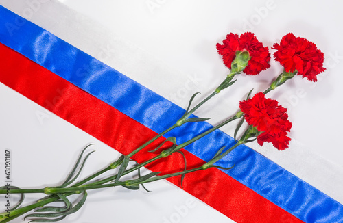 Photo: Carnations on Russian flag Carnations on Russian flag