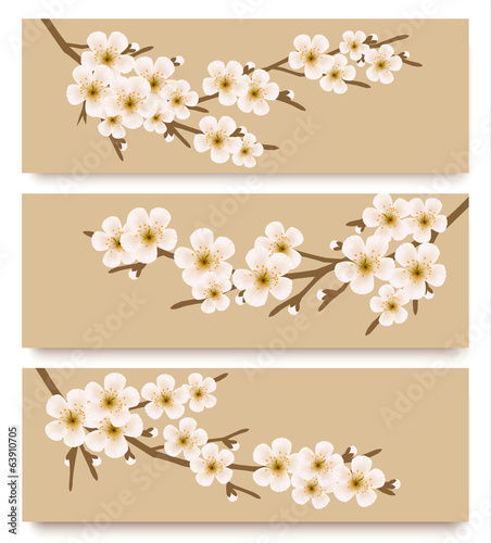 Vector: Three flower branch banners. Vector. Three flower branch banners. Vector.