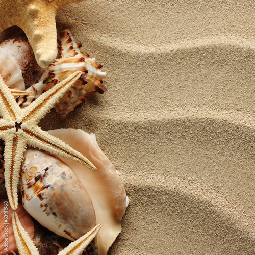 Photo: Sea shell on sand Sea shell on sand