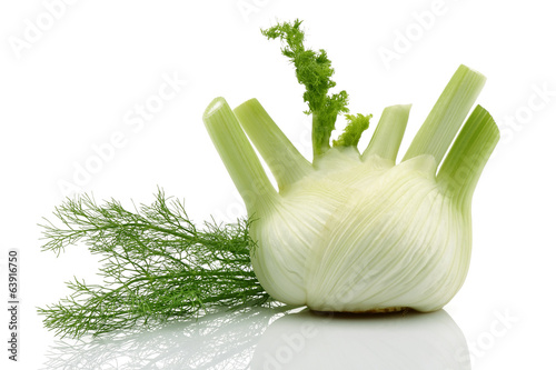 Photo: Fresh Fennel Fresh Fennel