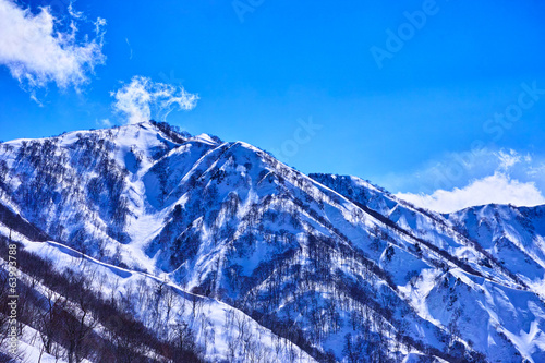 Photo: 冬の小遠見山 冬の小遠見山
