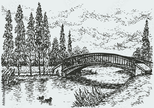  Vector landscape. Bridge over river and poplars along the road