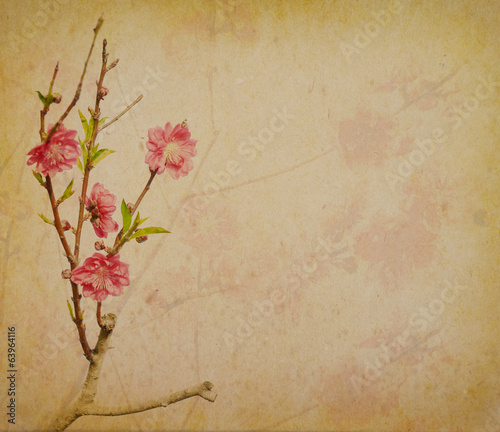 Photo: plum blossom on old antique vintage paper background plum blossom on old antique vintage paper background