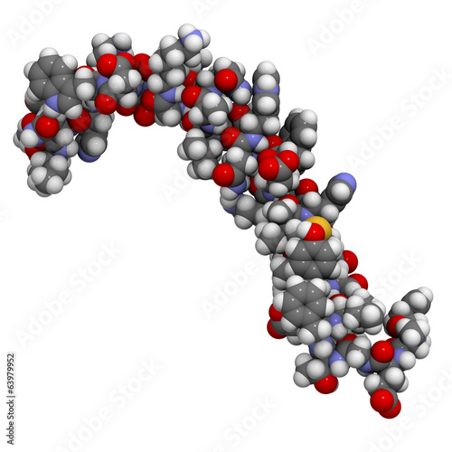 Illustration: Glucose-dependent insulinotropic peptide (gastric inhibitory pp) Glucose-dependent insulinotropic peptide (gastric inhibitory pp)