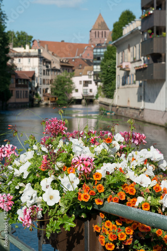 Photo: Typical medieval houses along the Ill river in Strasbourg Typical medieval houses along the Ill river in Strasbourg