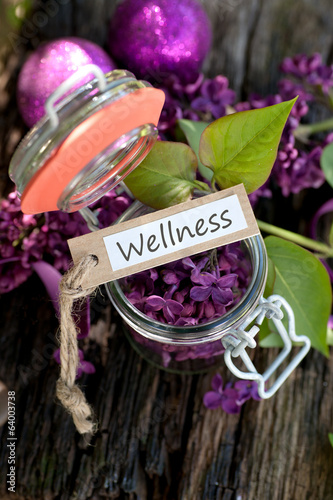 Photo: Wellness Wellness