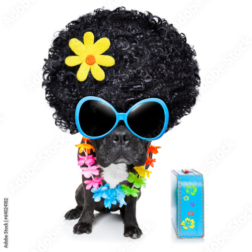 Photo: hippie dog hippie dog