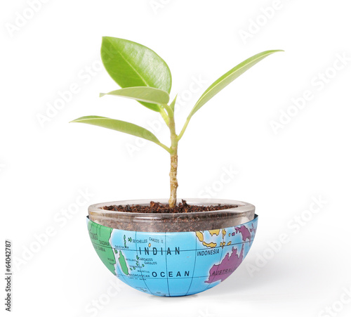 Photo: protect the environment concept earth with tree protect the environment concept earth with tree