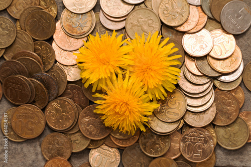 Photo: Coins of the Russian Federation. Coins of the Russian Federation.