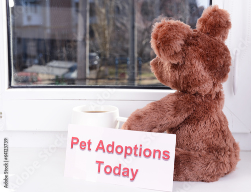 Photo: Toy-bear looking out window close-up Toy-bear looking out window close-up