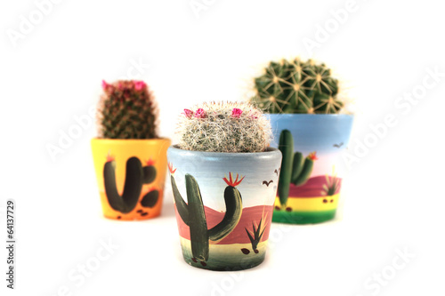 Photo: 3 cactus in mexican style pot 3 cactus in mexican style pot