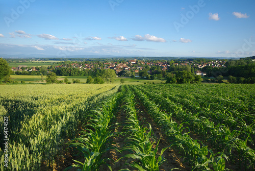 Photo: Campagne à Eschentzwiller, Alsace , Haut-rhin . Campagne à Eschentzwiller, Alsace , Haut-rhin .