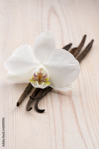 Photo: Vanilla pods and flower Vanilla pods and flower