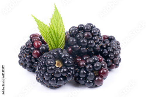 Photo: Brombeeren Brombeeren
