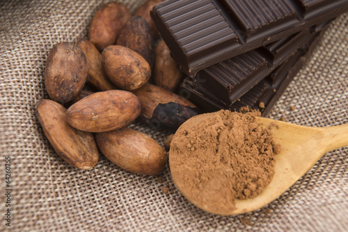 Photo: Cocoa (cacao) beans with chocolate Cocoa (cacao) beans with chocolate